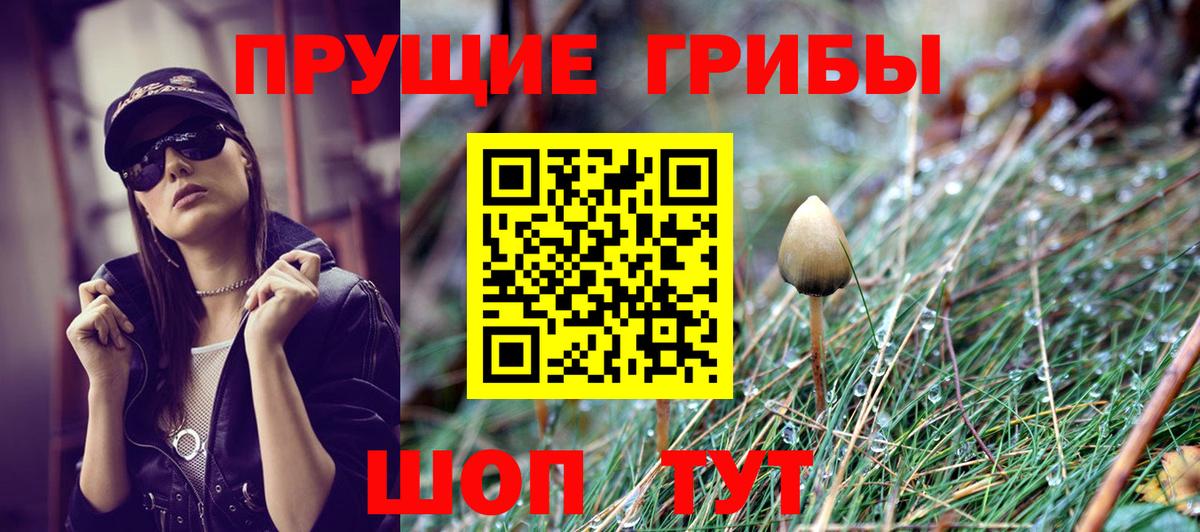 Псилоцибиновые грибы Psilocybine cubensis Сергиев Посад