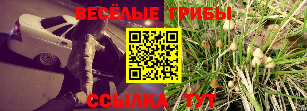Псилоцибиновые грибы мицелий  Вход с VPN  купить закладку  Сергиев Посад 
